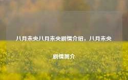 八月未央八月未央剧情介绍，八月未央剧情简介