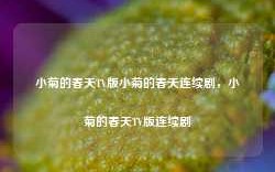 小菊的春天TV版小菊的春天连续剧，小菊的春天TV版连续剧