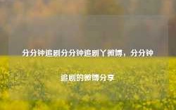 分分钟追剧分分钟追剧丫微博，分分钟追剧的微博分享