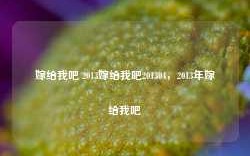 嫁给我吧 2013嫁给我吧201304，2013年嫁给我吧