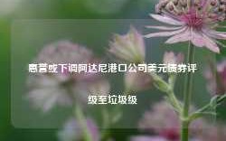 惠誉或下调阿达尼港口公司美元债券评级至垃圾级