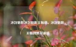 冰封魅影冰封魅影王畅唱，冰封魅影，王畅的激昂演唱