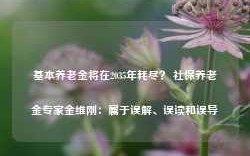 基本养老金将在2035年耗尽？ 社保养老金专家金维刚：属于误解、误读和误导