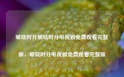 破晓时分破晓时分电视剧免费观看完整版，破晓时分电视剧免费观看完整版