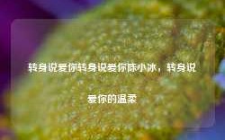 转身说爱你转身说爱你陈小冰，转身说爱你的温柔