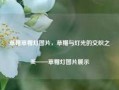 草帽草帽灯图片，草帽与灯光的交织之美——草帽灯图片展示