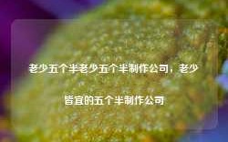 老少五个半老少五个半制作公司，老少皆宜的五个半制作公司