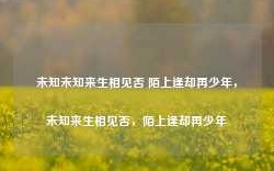 未知未知来生相见否 陌上逢却再少年，未知来生相见否，陌上逢却再少年