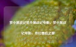 罗小黑战记罗小黑战记电影，罗小黑战记电影，奇幻冒险之旅