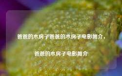 爸爸的木房子爸爸的木房子电影简介，爸爸的木房子电影简介