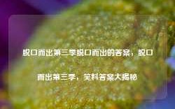 脱口而出第三季脱口而出的答案，脱口而出第三季，笑料答案大揭秘