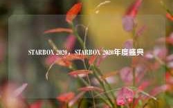 STARBOX 2020，STARBOX 2020年度盛典