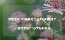 裸婚之后 DVD版裸婚之后大结局是什么，裸婚之后DVD版大结局揭秘