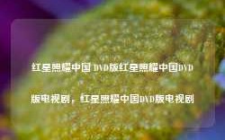 红星照耀中国 DVD版红星照耀中国DVD版电视剧，红星照耀中国DVD版电视剧