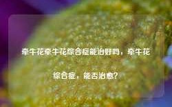 牵牛花牵牛花综合症能治好吗，牵牛花综合症，能否治愈？