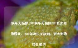 娱乐无极限 2011娱乐无极限2011张杰谢娜婚礼，2011年娱乐无极限，张杰谢娜婚礼盛况