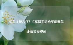 买车才能合作？汽车博主胡永平炮轰车企营销潜规则