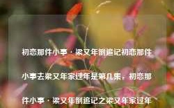 初恋那件小事·梁又年倒追记初恋那件小事去梁又年家过年是第几集，初恋那件小事·梁又年倒追记之梁又年家过年是第X集。