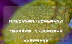 冷少的替嫁娇妻冷少的替嫁娇妻电视剧完整版免费观看，冷少的替嫁娇妻电视剧免费观看完整版