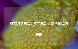 烟花烟花易冷，烟花易冷，瞬间绚烂的美丽