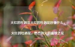 火红的杜鹃花火红的杜鹃花好像什么，火红的杜鹃花，热烈如火的盛放之花