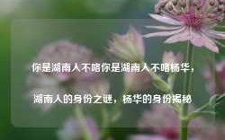 你是湖南人不咯你是湖南人不咯杨华，湖南人的身份之谜，杨华的身份揭秘