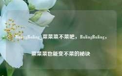 BulingBuling_菜菜菜不菜吧，BulingBuling，菜菜菜也能变不菜的秘诀