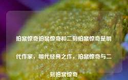 拍案惊奇拍案惊奇和二刻拍案惊奇是明代作家，明代经典之作，拍案惊奇与二刻拍案惊奇