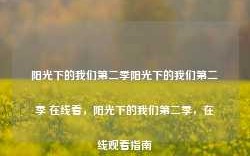 阳光下的我们第二季阳光下的我们第二季 在线看，阳光下的我们第二季，在线观看指南