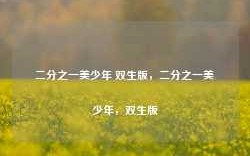 二分之一美少年 双生版，二分之一美少年，双生版