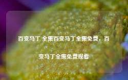 百变马丁 全集百变马丁全集免费，百变马丁全集免费观看