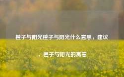 橙子与阳光橙子与阳光什么意思，建议，橙子与阳光的寓意