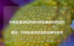 对杂乱星球的改造对杂乱星球的改造的看法，对杂乱星球改造的见解与思考