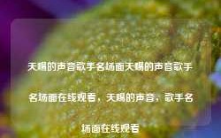 天赐的声音歌手名场面天赐的声音歌手名场面在线观看，天赐的声音，歌手名场面在线观看