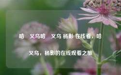 哈啰义乌哈啰义乌 杨影 在线看，哈啰义乌，杨影的在线观看之旅