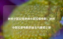 拯救小鼠拉菲拯救小鼠拉菲电影，拯救小鼠拉菲电影的诞生与冒险之旅