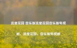 流星花园 音乐版流星花园音乐版电视剧，流星花园，音乐版电视剧