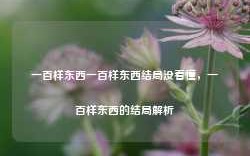 一百样东西一百样东西结局没看懂，一百样东西的结局解析