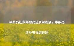 牛敞亮还乡牛敞亮还乡电视剧，牛敞亮还乡电视剧标题