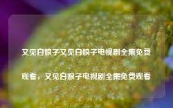 又见白娘子又见白娘子电视剧全集免费观看，又见白娘子电视剧全集免费观看