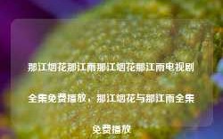 那江烟花那江雨那江烟花那江雨电视剧全集免费播放，那江烟花与那江雨全集免费播放