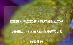 欢乐满人间2欢乐满人间2在线观看完整版普通话，欢乐满人间2在线观看完整版普通话