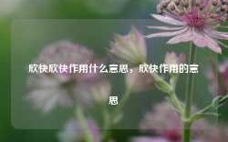 欣快欣快作用什么意思，欣快作用的意思