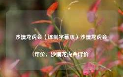 沙漠龙虎会（译制字幕版）沙漠龙虎会评价，沙漠龙虎会评价