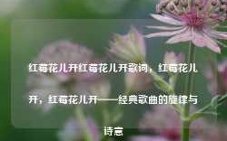 红莓花儿开红莓花儿开歌词，红莓花儿开，红莓花儿开——经典歌曲的旋律与诗意