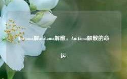 Anitama解anitama解散，Anitama解散的命运