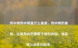 肉中刺肉中刺是什么意思，肉中刺的意思，比喻有内奸藏匿于组织内部，或指难以消除的隐患。