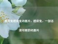 橙皮兔橙皮兔动画片，橙皮兔，一部活泼可爱的动画片