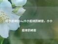 小小追球的vlog小小追球的秘密，小小追球的秘密