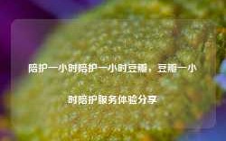 陪护一小时陪护一小时豆瓣，豆瓣一小时陪护服务体验分享